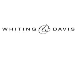 法國WHITING+DAVIS 鐵手套防護手套